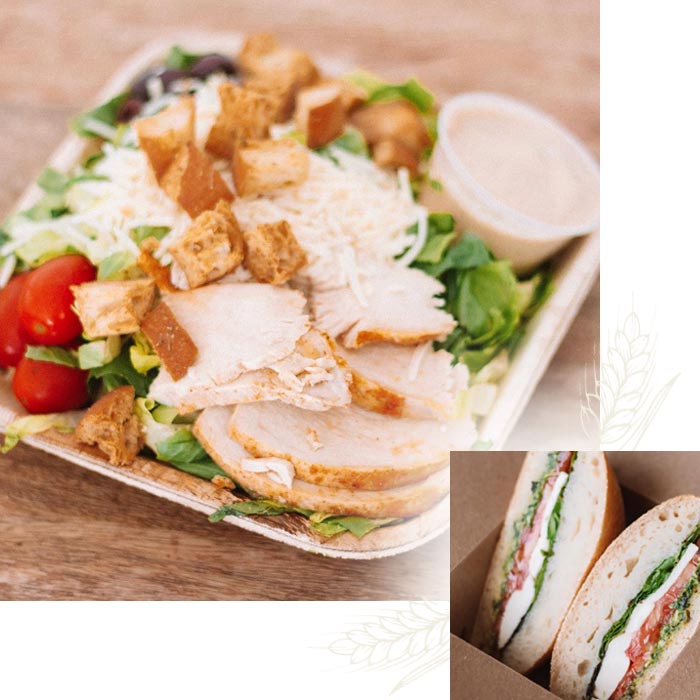 A salad with sliced chicken and a bakery sandwich of mozzarella, tomato, and greens in a box.